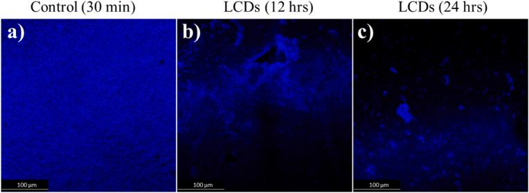 https://cdn.ncbi.nlm.nih.gov/pmc/blobs/8934/12419084/ce2273cdb0bf/gr6.jpg