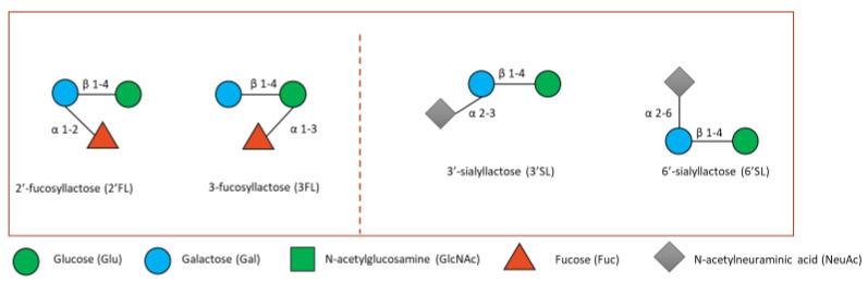 https://cdn.ncbi.nlm.nih.gov/pmc/blobs/8935/9781515/6a005f536eef/microorganisms-10-02338-g004.jpg