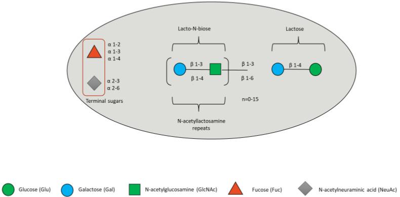 https://cdn.ncbi.nlm.nih.gov/pmc/blobs/8935/9781515/d052b06716a9/microorganisms-10-02338-g003.jpg