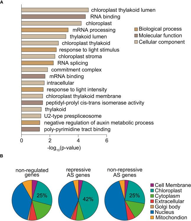 https://cdn.ncbi.nlm.nih.gov/pmc/blobs/8935/9950775/59db68c0d86c/fpls-14-1097127-g005.jpg