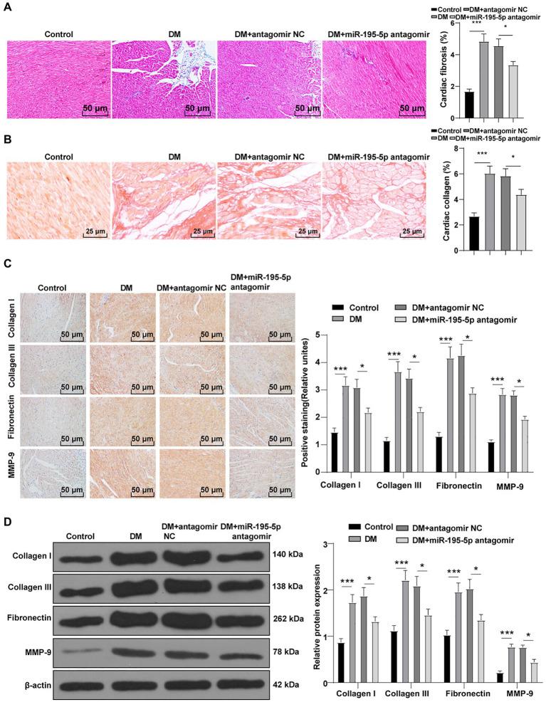 https://cdn.ncbi.nlm.nih.gov/pmc/blobs/8938/8514870/60ca90bac2bf/fphys-12-709123-g002.jpg