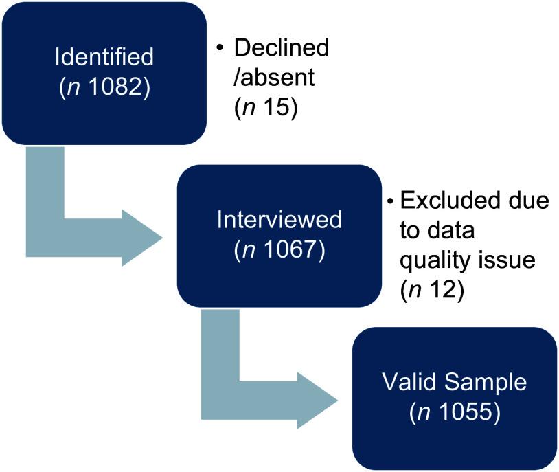 https://cdn.ncbi.nlm.nih.gov/pmc/blobs/893a/11822597/52964d2d0a81/S1368980024002465_fig1.jpg