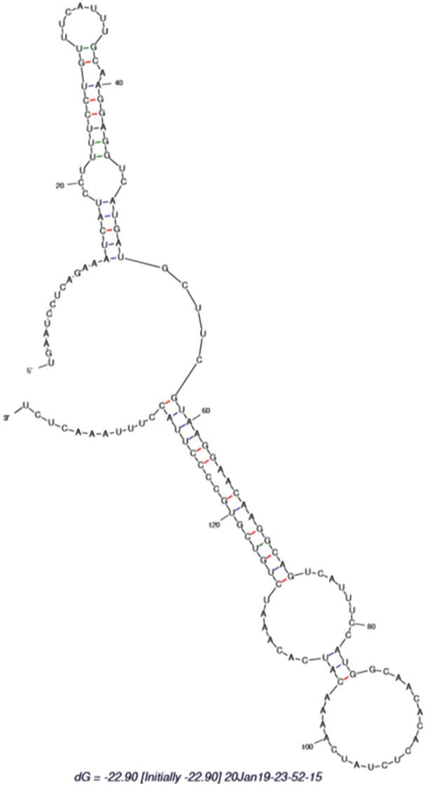 https://cdn.ncbi.nlm.nih.gov/pmc/blobs/893f/7754171/5e9d6836cc2a/WJD-11-567-g001.jpg