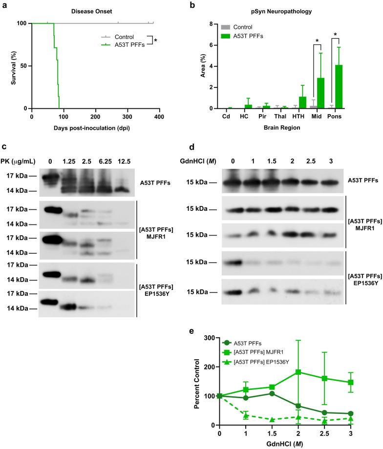https://cdn.ncbi.nlm.nih.gov/pmc/blobs/8943/11623799/03f046a0713b/ppat.1012746.g006.jpg