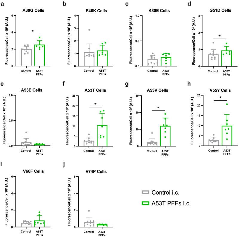 https://cdn.ncbi.nlm.nih.gov/pmc/blobs/8943/11623799/ef68e7897692/ppat.1012746.g007.jpg