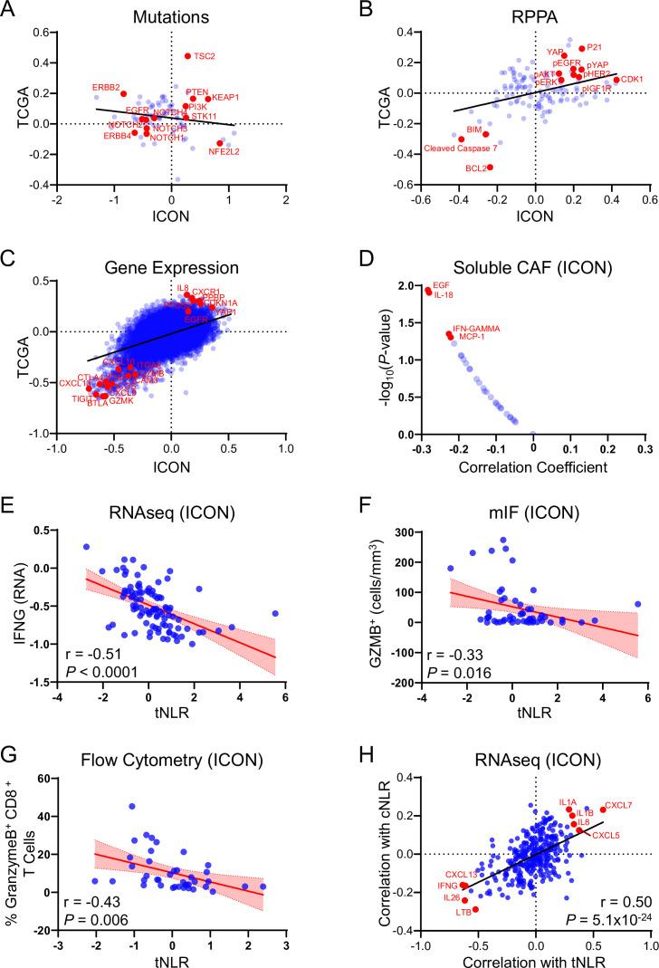 https://cdn.ncbi.nlm.nih.gov/pmc/blobs/8945/12198785/63111347b826/jitc-13-6-g002.jpg