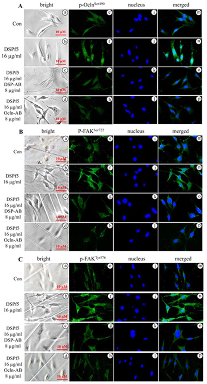 https://cdn.ncbi.nlm.nih.gov/pmc/blobs/8946/5428264/9742c4448653/41598_2017_339_Fig6_HTML.jpg