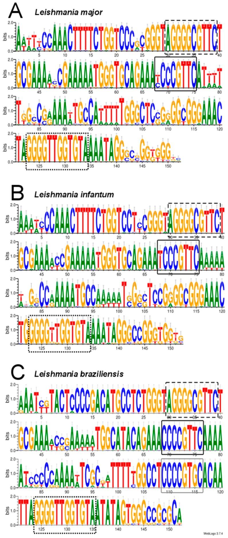 https://cdn.ncbi.nlm.nih.gov/pmc/blobs/8947/6826401/503facac748b/genes-10-00758-g003.jpg
