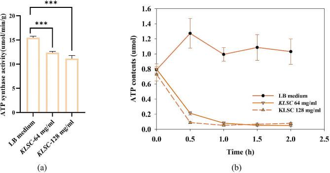 https://cdn.ncbi.nlm.nih.gov/pmc/blobs/8948/11134901/d0cee3b732c5/12906_2024_4500_Fig9_HTML.jpg