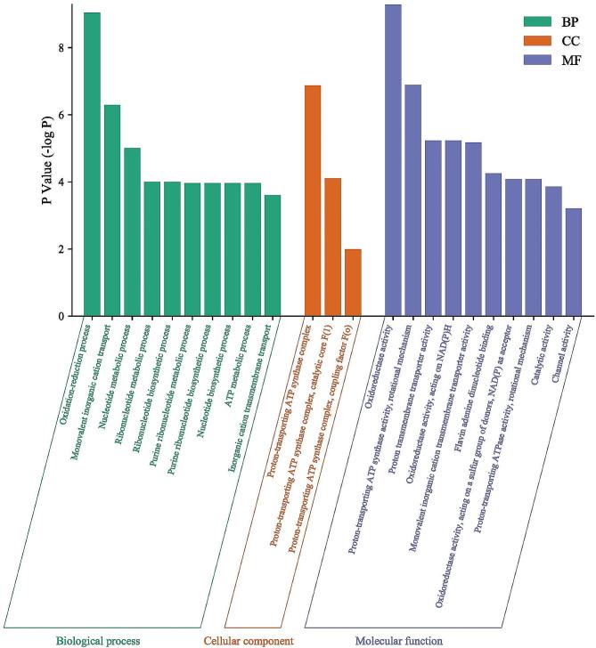 https://cdn.ncbi.nlm.nih.gov/pmc/blobs/8948/11134901/df2870a576c3/12906_2024_4500_Fig6_HTML.jpg