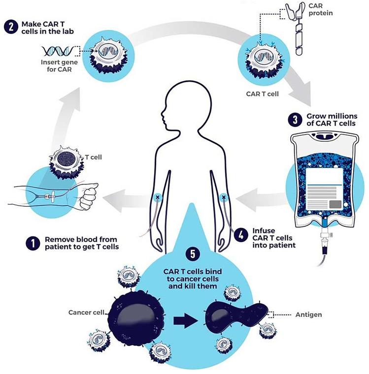 https://cdn.ncbi.nlm.nih.gov/pmc/blobs/8948/9941278/356d38f8049a/10741_2022_10279_Fig4_HTML.jpg