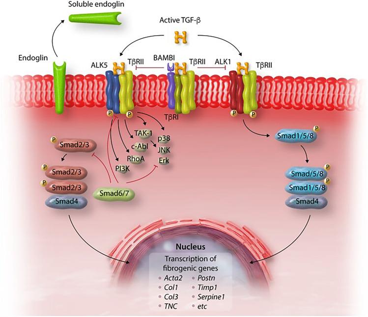 https://cdn.ncbi.nlm.nih.gov/pmc/blobs/8948/9941278/f9491e4b974b/10741_2022_10279_Fig3_HTML.jpg