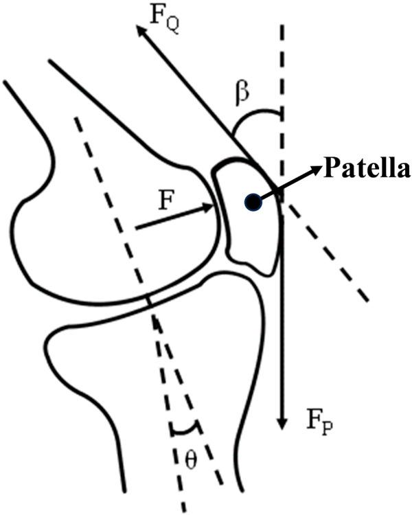 https://cdn.ncbi.nlm.nih.gov/pmc/blobs/8949/11383783/ea7bd7e42478/fbioe-12-1441027-g003.jpg