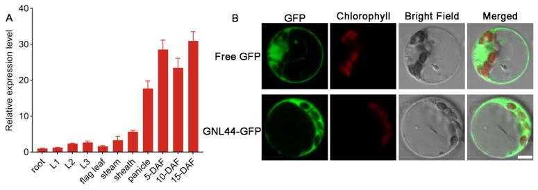 https://cdn.ncbi.nlm.nih.gov/pmc/blobs/894a/10779214/9d0f07c480a9/ijms-25-00589-g005.jpg