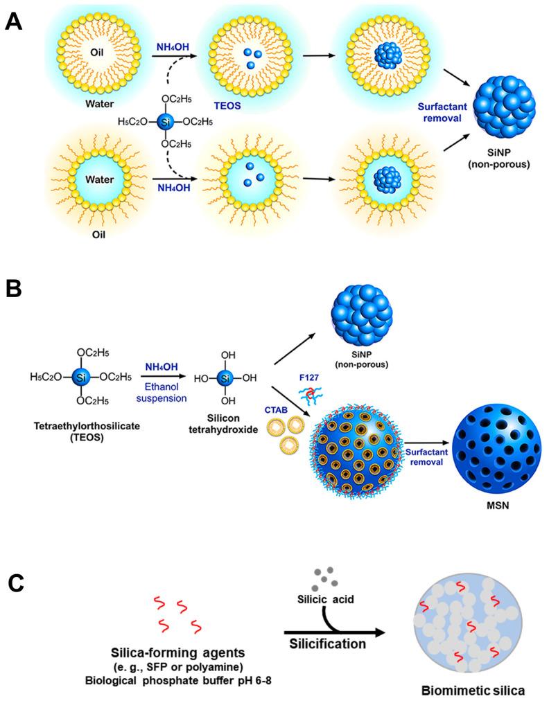 https://cdn.ncbi.nlm.nih.gov/pmc/blobs/894b/11172759/5330d93d7248/ijms-25-06125-g001.jpg