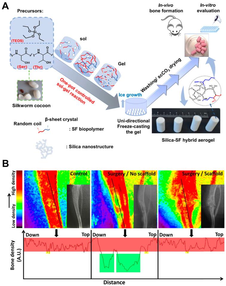 https://cdn.ncbi.nlm.nih.gov/pmc/blobs/894b/11172759/5e75aa99952b/ijms-25-06125-g007.jpg