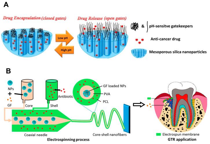 https://cdn.ncbi.nlm.nih.gov/pmc/blobs/894b/11172759/f4bce8e837db/ijms-25-06125-g005.jpg