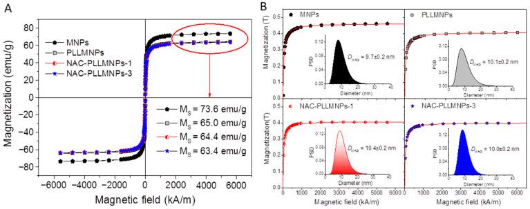 https://cdn.ncbi.nlm.nih.gov/pmc/blobs/894f/10380599/209037ddbe80/ijms-24-11414-g004.jpg
