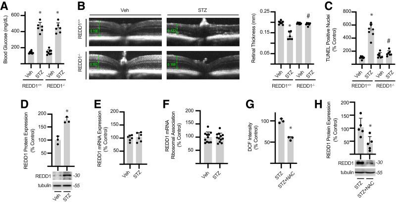 https://cdn.ncbi.nlm.nih.gov/pmc/blobs/894f/9750946/7b2c510aac44/db220355f1.jpg