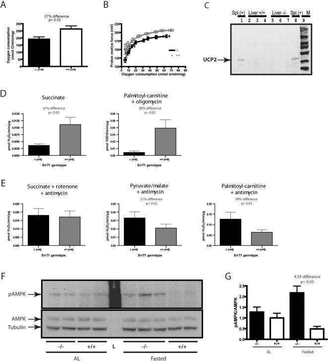 https://cdn.ncbi.nlm.nih.gov/pmc/blobs/8951/2258149/0155d5018256/pone.0001759.g006.jpg