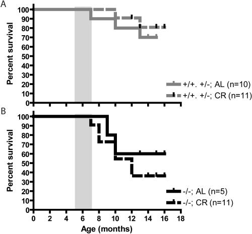 https://cdn.ncbi.nlm.nih.gov/pmc/blobs/8951/2258149/0e159e8ae5cc/pone.0001759.g010.jpg