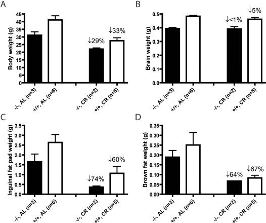 https://cdn.ncbi.nlm.nih.gov/pmc/blobs/8951/2258149/43b82614b756/pone.0001759.g007.jpg