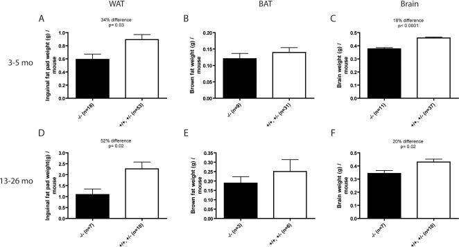https://cdn.ncbi.nlm.nih.gov/pmc/blobs/8951/2258149/743867d5bc31/pone.0001759.g005.jpg
