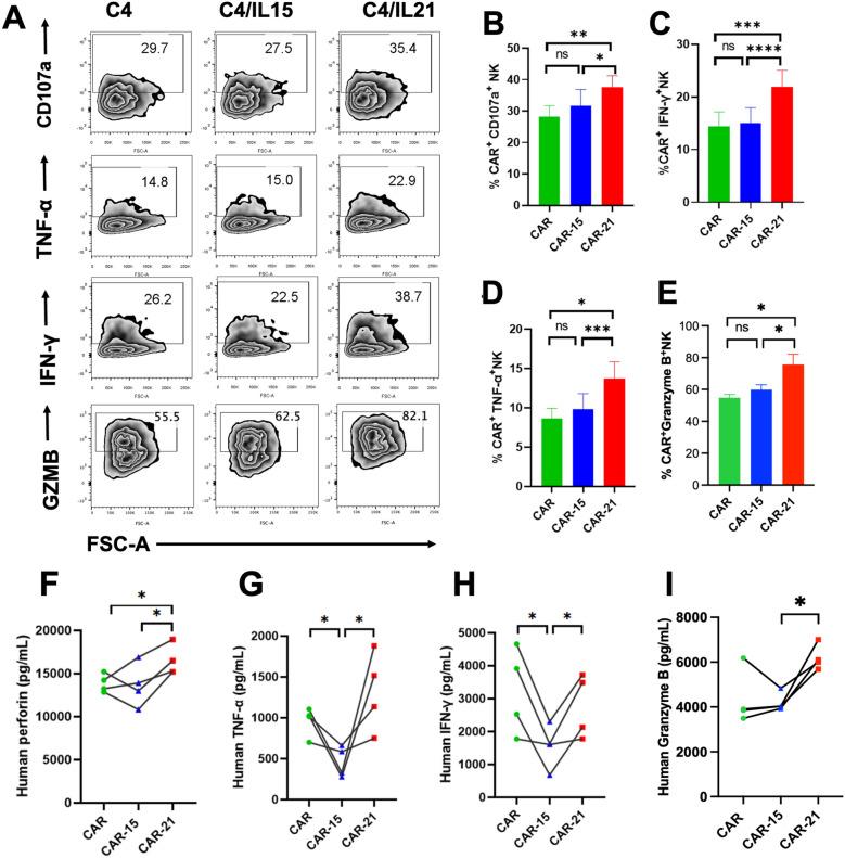 https://cdn.ncbi.nlm.nih.gov/pmc/blobs/8952/11967061/019d54286d22/40164_2025_639_Fig6_HTML.jpg