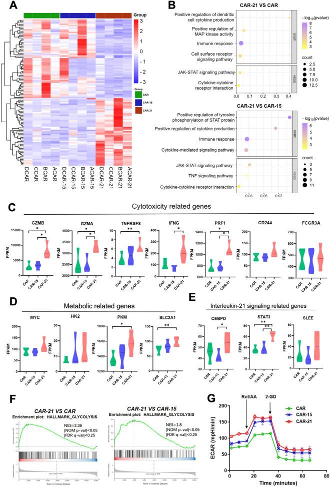 https://cdn.ncbi.nlm.nih.gov/pmc/blobs/8952/11967061/8a08f2d0f9fb/40164_2025_639_Fig4_HTML.jpg