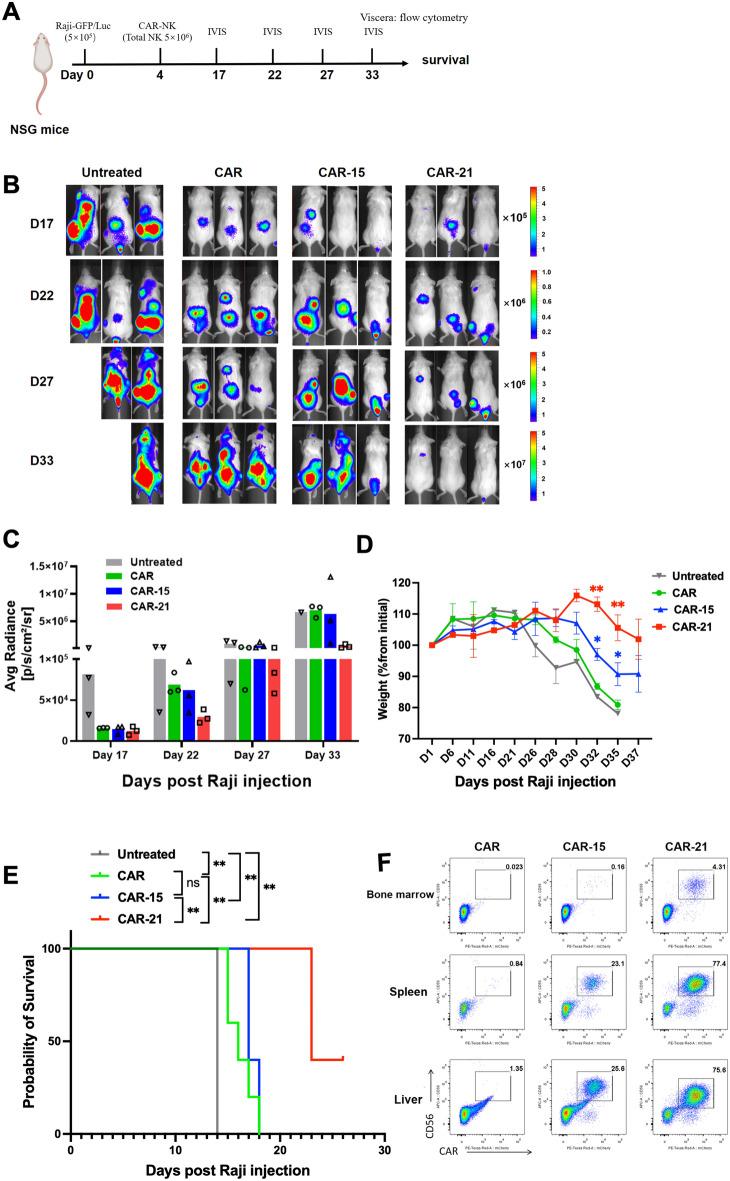 https://cdn.ncbi.nlm.nih.gov/pmc/blobs/8952/11967061/d788fd7f0071/40164_2025_639_Fig7_HTML.jpg