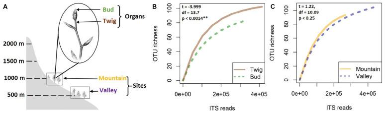 https://cdn.ncbi.nlm.nih.gov/pmc/blobs/8953/8086555/e99fd04d8051/fmicb-12-646302-g001.jpg