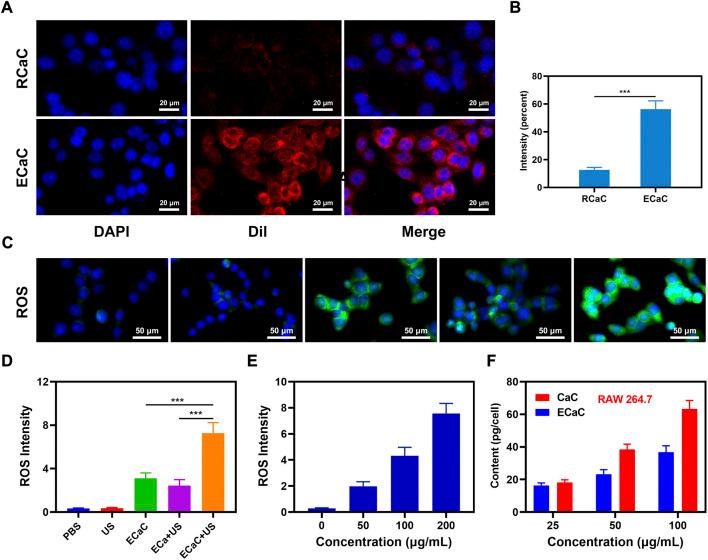https://cdn.ncbi.nlm.nih.gov/pmc/blobs/8954/9705788/7709f08e92a3/fbioe-10-1069676-g002.jpg