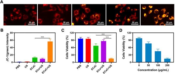 https://cdn.ncbi.nlm.nih.gov/pmc/blobs/8954/9705788/79db7d215f0a/fbioe-10-1069676-g003.jpg