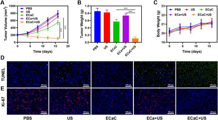 https://cdn.ncbi.nlm.nih.gov/pmc/blobs/8954/9705788/7fca86f0cca0/fbioe-10-1069676-g004.jpg