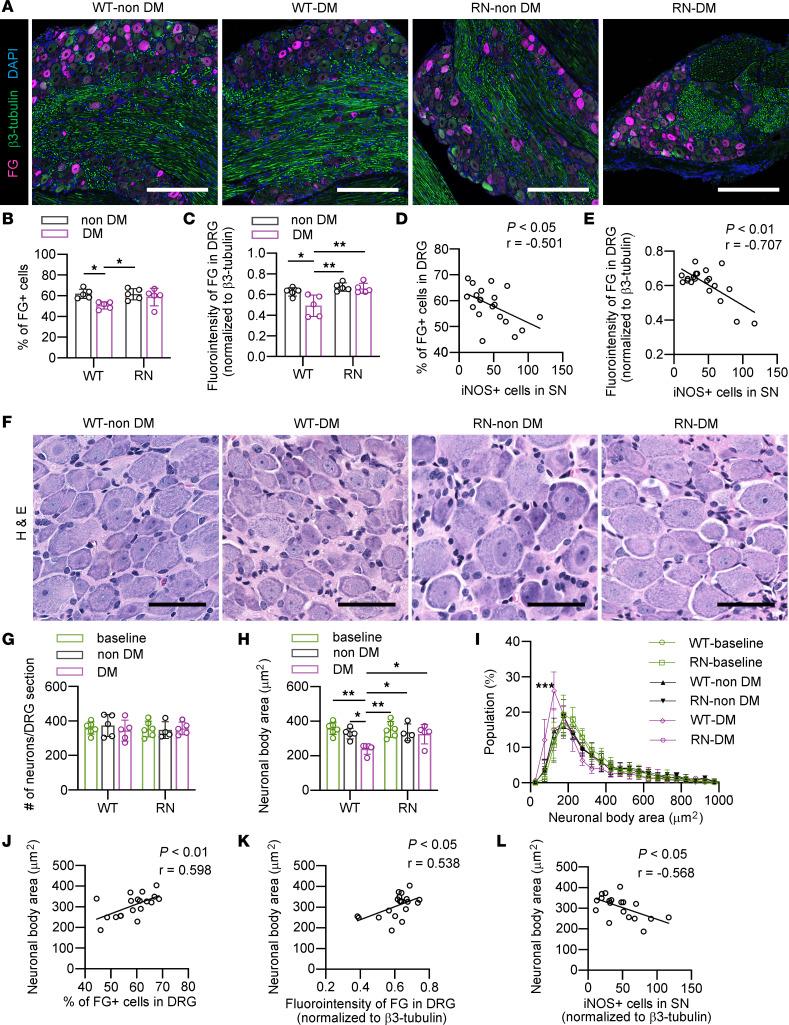 https://cdn.ncbi.nlm.nih.gov/pmc/blobs/8957/9746912/4f48b8f9e83a/jciinsight-7-160555-g144.jpg
