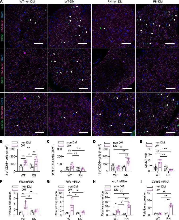 https://cdn.ncbi.nlm.nih.gov/pmc/blobs/8957/9746912/914aa44ada6f/jciinsight-7-160555-g142.jpg