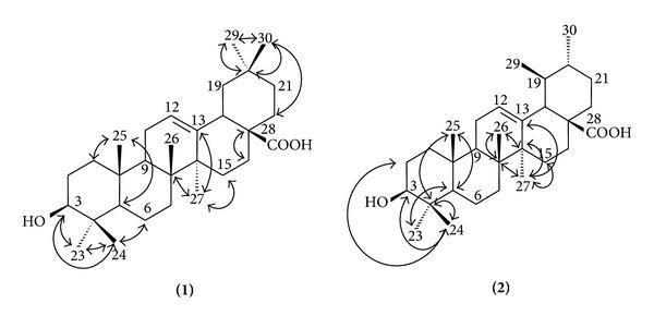 https://cdn.ncbi.nlm.nih.gov/pmc/blobs/8959/3583080/6f68e82969ac/BMRI2013-605831.002.jpg
