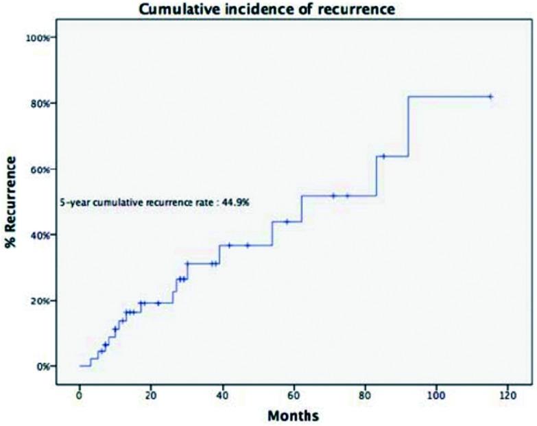 https://cdn.ncbi.nlm.nih.gov/pmc/blobs/895a/6133981/3ba4cabf15bc/zgfazz-19-7-445-3.jpg