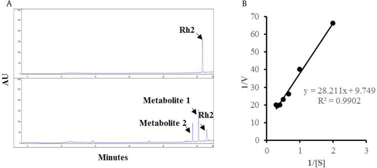 https://cdn.ncbi.nlm.nih.gov/pmc/blobs/895a/7790896/2a88fdc9fd46/gr3.jpg