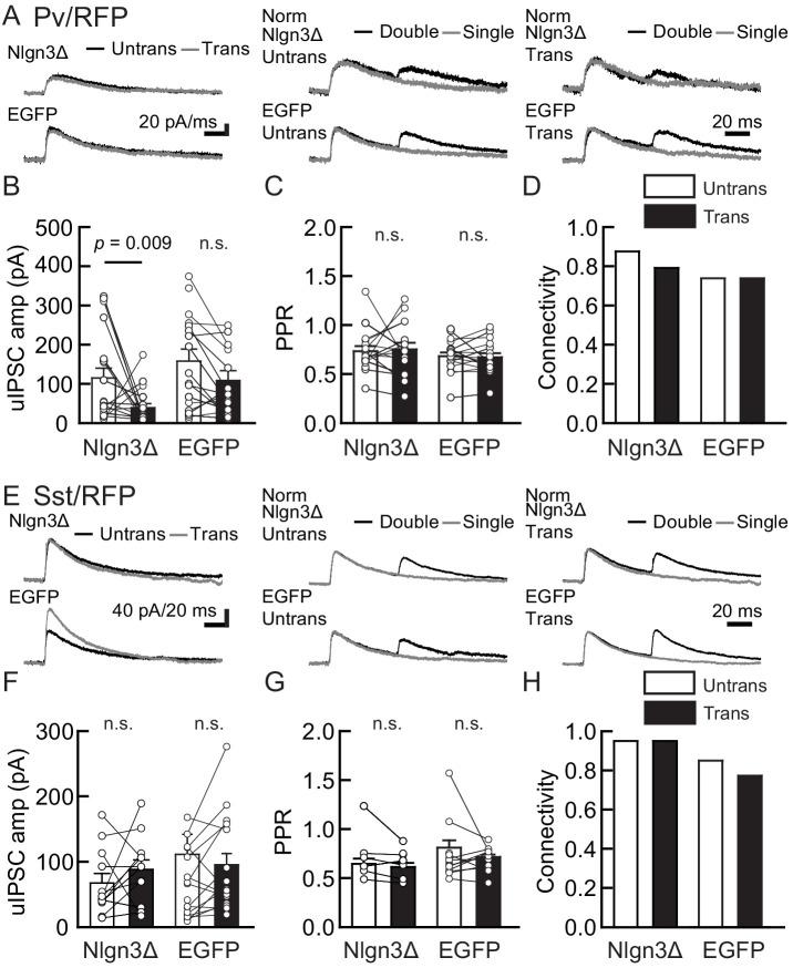 https://cdn.ncbi.nlm.nih.gov/pmc/blobs/895b/7758064/988bc1d21de0/elife-59545-fig3.jpg