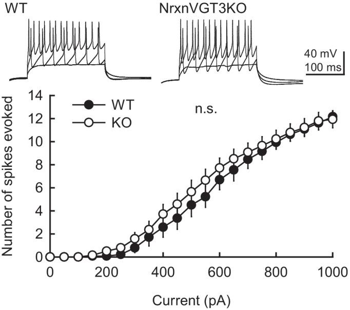 https://cdn.ncbi.nlm.nih.gov/pmc/blobs/895b/7758064/d34f1f70901c/elife-59545-fig5-figsupp1.jpg