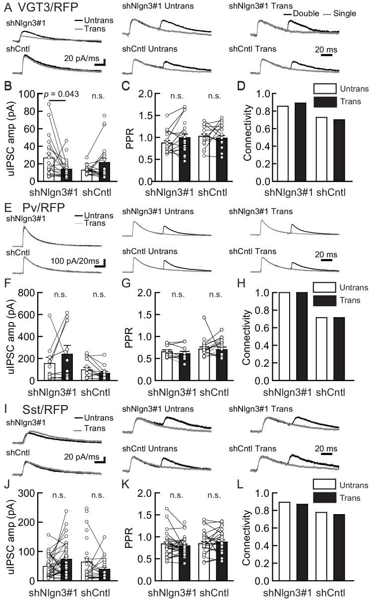 https://cdn.ncbi.nlm.nih.gov/pmc/blobs/895b/7758064/ecf5bb0f8f46/elife-59545-fig4.jpg