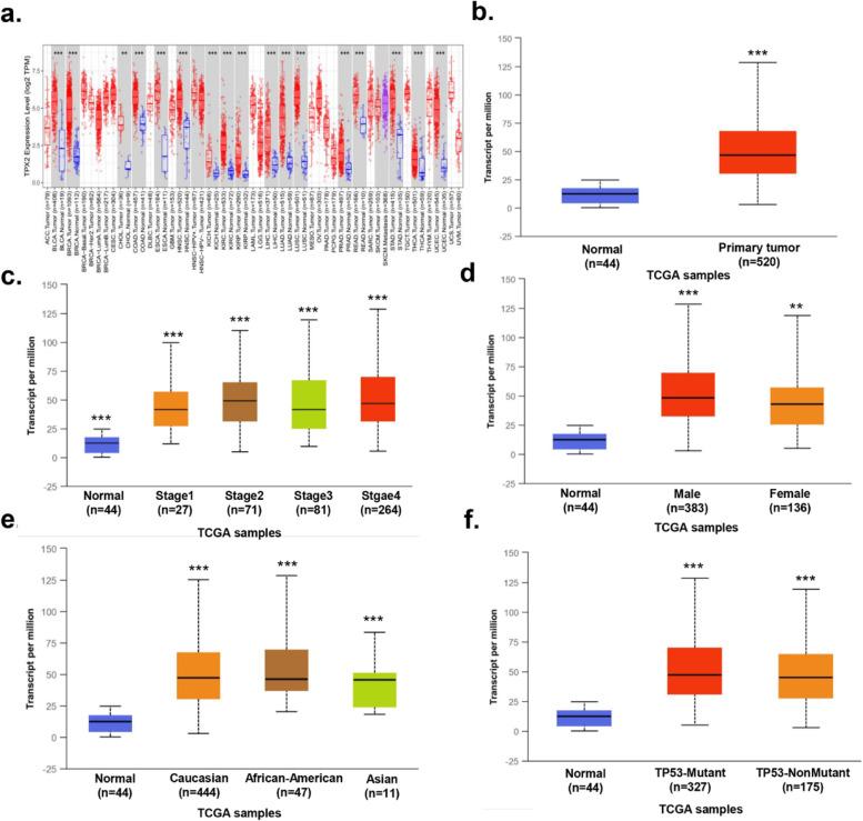 https://cdn.ncbi.nlm.nih.gov/pmc/blobs/895b/8066950/33b07219ef37/41065_2021_181_Fig7_HTML.jpg