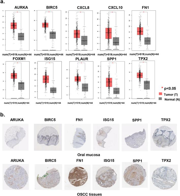 https://cdn.ncbi.nlm.nih.gov/pmc/blobs/895b/8066950/5f0dd93b24dd/41065_2021_181_Fig3_HTML.jpg