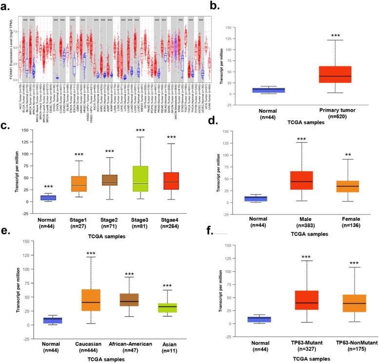 https://cdn.ncbi.nlm.nih.gov/pmc/blobs/895b/8066950/720d0f54f1ff/41065_2021_181_Fig6_HTML.jpg
