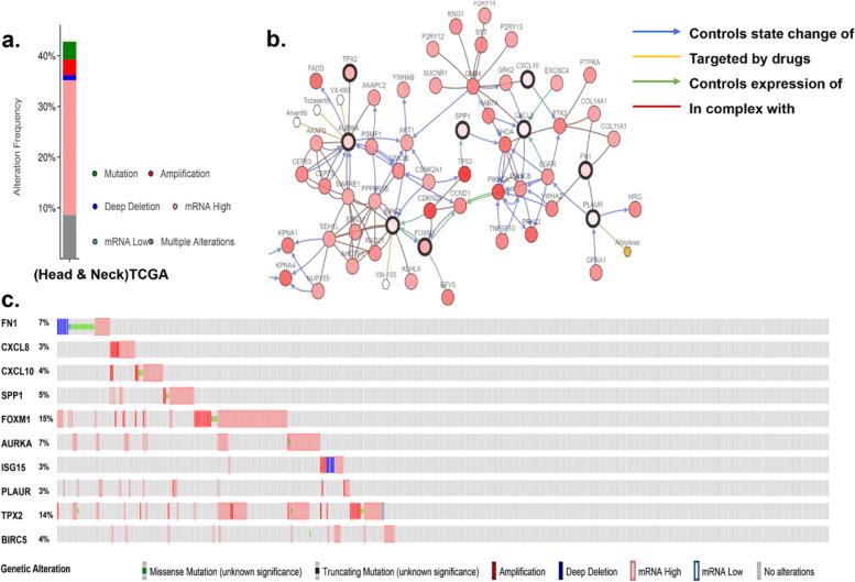 https://cdn.ncbi.nlm.nih.gov/pmc/blobs/895b/8066950/be959ce23b1f/41065_2021_181_Fig5_HTML.jpg
