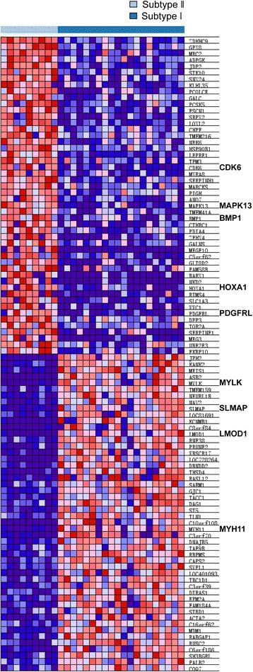 https://cdn.ncbi.nlm.nih.gov/pmc/blobs/895e/5594508/78dcf8502ad3/12885_2017_3568_Fig3_HTML.jpg