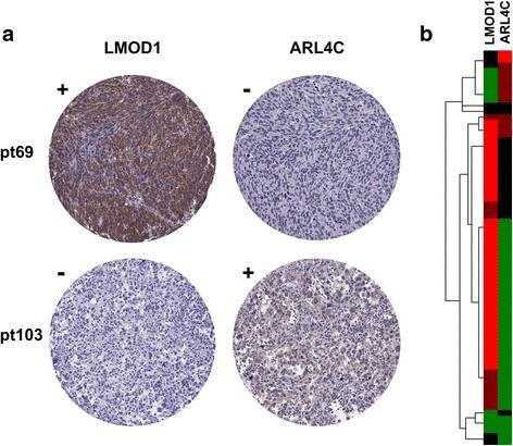 https://cdn.ncbi.nlm.nih.gov/pmc/blobs/895e/5594508/85a1186a166d/12885_2017_3568_Fig4_HTML.jpg