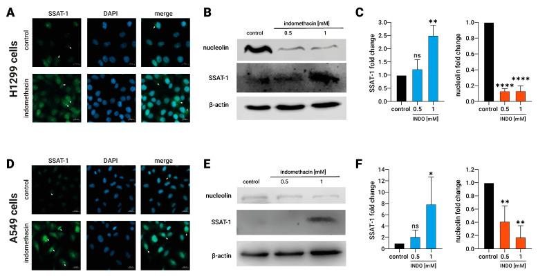 https://cdn.ncbi.nlm.nih.gov/pmc/blobs/8962/10526249/b6cb73ae7600/biomolecules-13-01383-g002.jpg