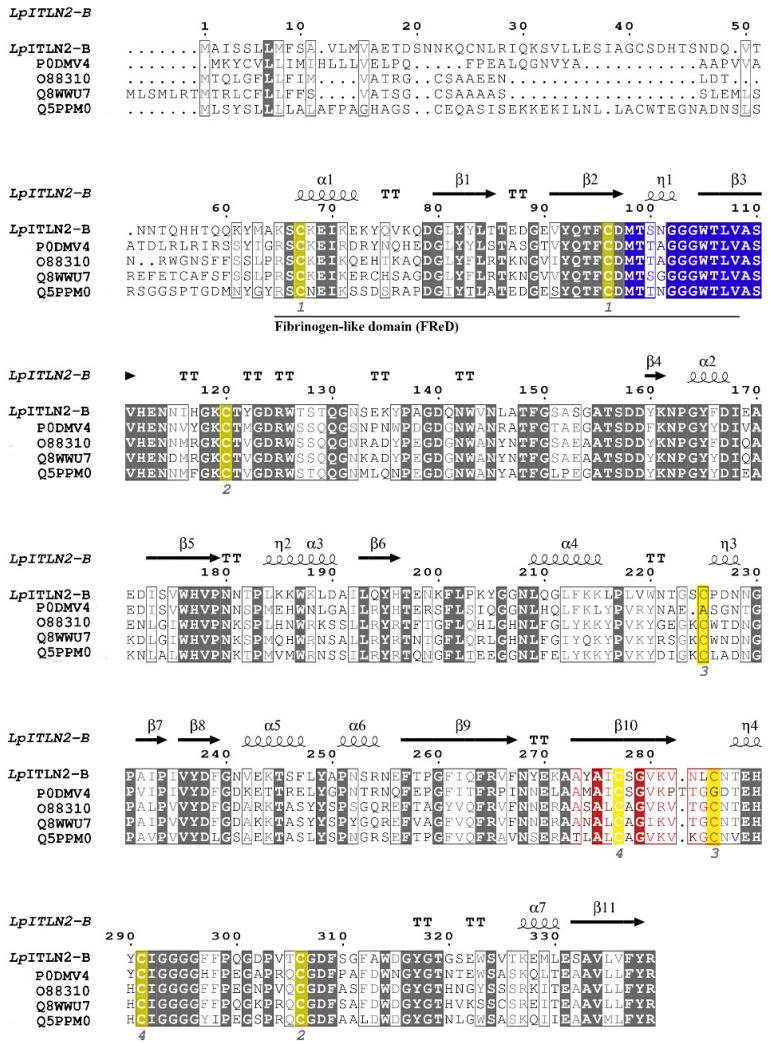 https://cdn.ncbi.nlm.nih.gov/pmc/blobs/8963/11084424/d7b922711173/ijms-25-04798-g003.jpg